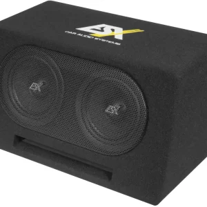 Sonderangebot ESX DBX Dual Reflexbox DBX-206Q Bassreflexbox 16,5 cm