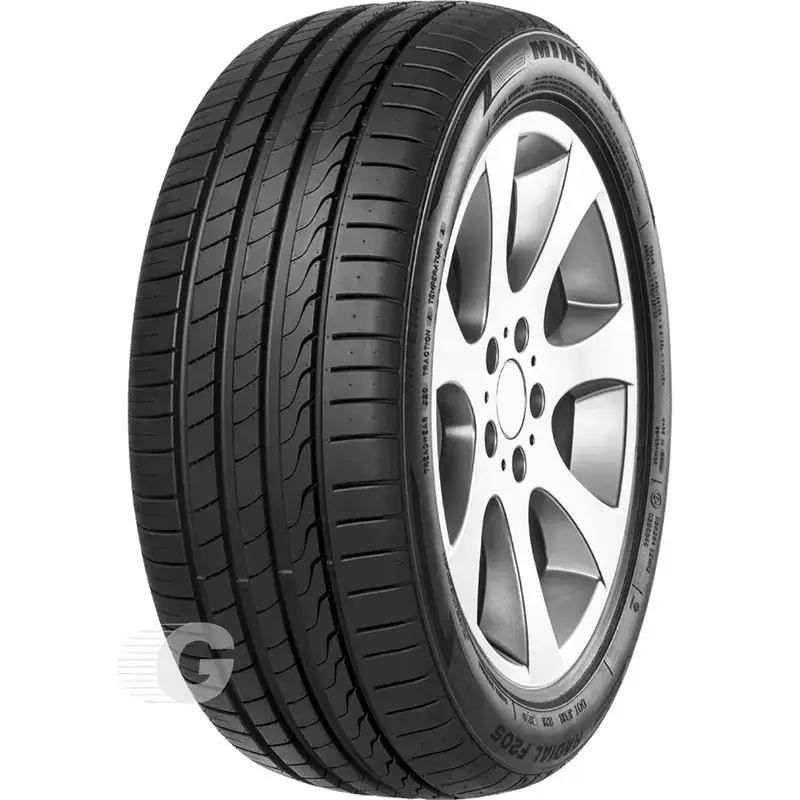 Sofort Bestellen Sommerreifen Minerva 205/55 R17 95W TL F 205