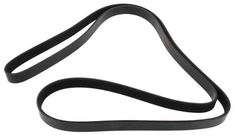 Mapco Keilrippenriemen Mega-Angebot
