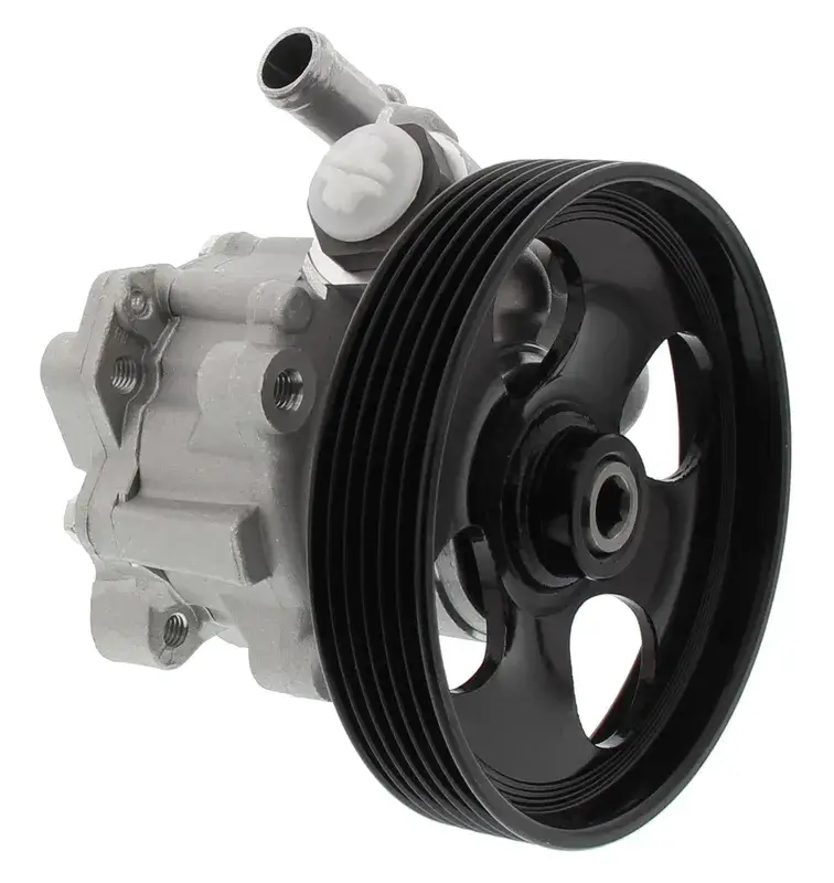 Mapco Hydraulikpumpe, Lenkung Sichere Zahlung