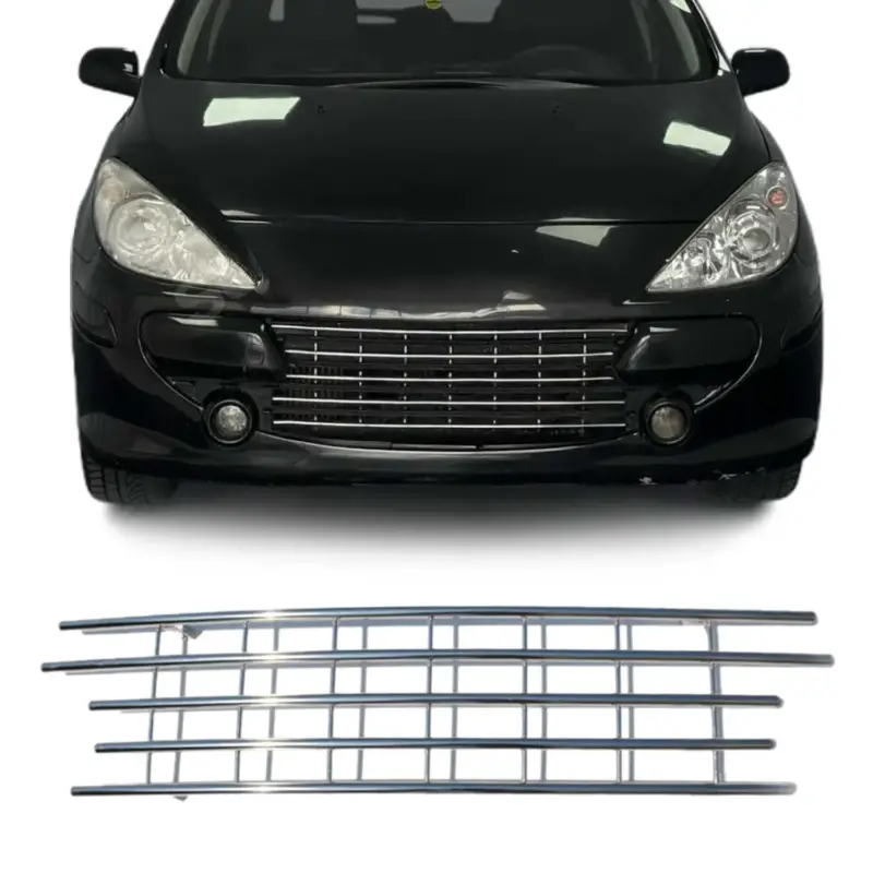 Abverkauf Stoßstange Frontgrill Grill Leiste für Peugeot 307 Ø12mm Edelstahl
