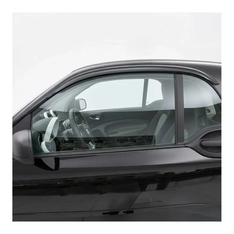 Windabweiser Regenabweiser für Smart ForTwo 453 Coupe 2014-2019 Dunkel Acryl 2x Online Kaufen